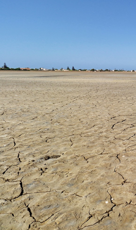 The sporadic summer drying out of the Pantani Cuba & Pantano